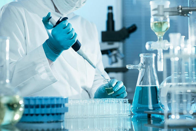 mật độ CFU của chủng chuẩn