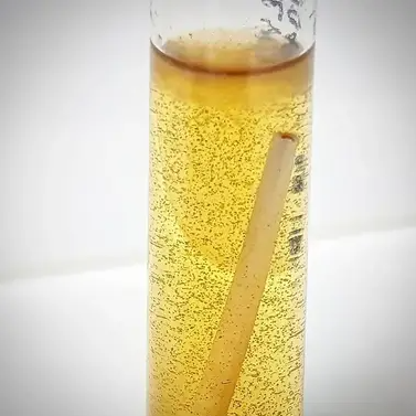 môi trường Thioglycollate Broth